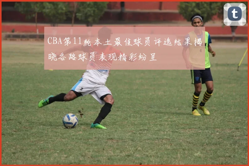 CBA第11轮本土最佳球员评选结果揭晓各路球员表现精彩纷呈