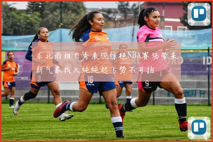 东北雨姐首秀表现惊艳NBA赛场带来新气象我火纯纯起飞势不可挡