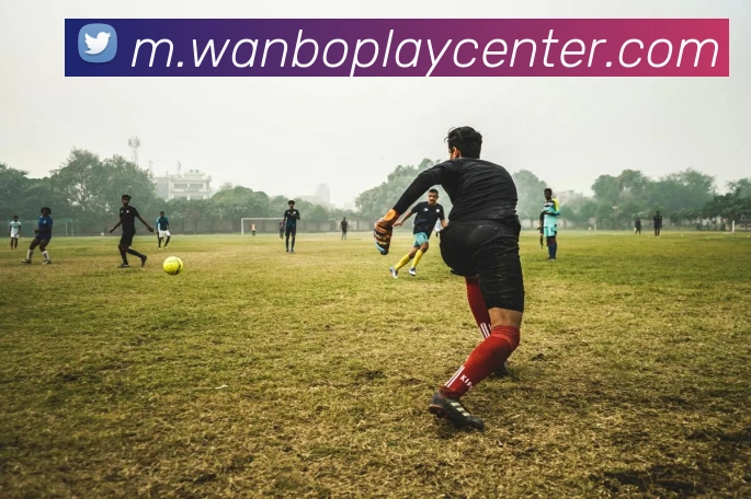 万博体育平台生态图