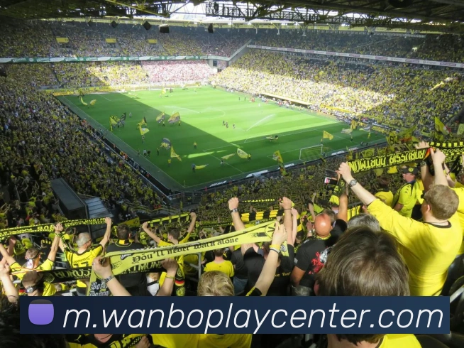 万博体育APP 封面图